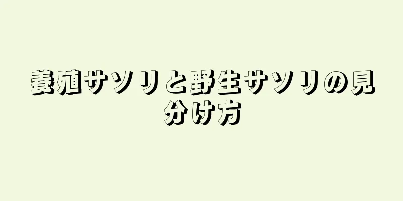 養殖サソリと野生サソリの見分け方