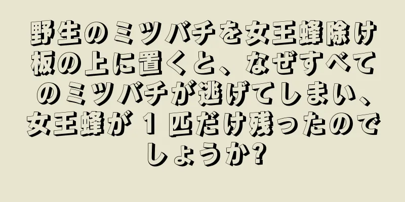野生のミツバチを女王蜂除け板の上に置くと、なぜすべてのミツバチが逃げてしまい、女王蜂が 1 匹だけ残ったのでしょうか?