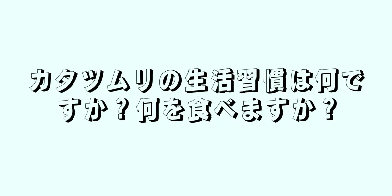 カタツムリの生活習慣は何ですか？何を食べますか？