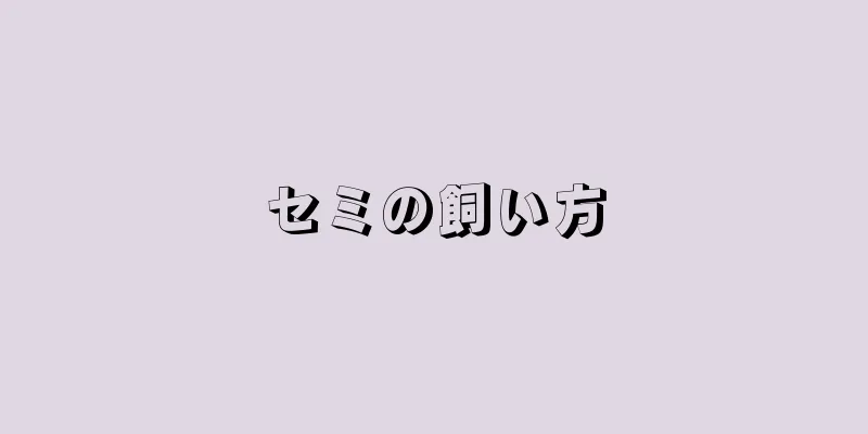 セミの飼い方
