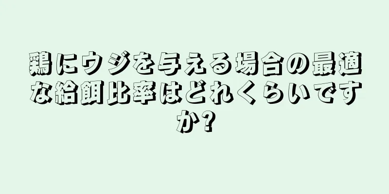 鶏にウジを与える場合の最適な給餌比率はどれくらいですか?