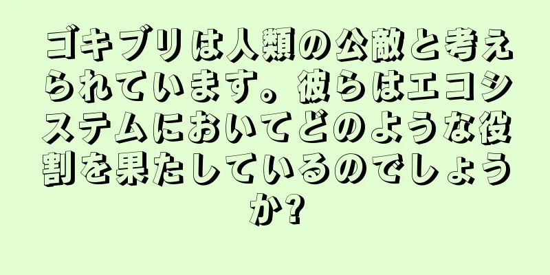 ゴキブリは人類の公敵と考えられています。彼らはエコシステムにおいてどのような役割を果たしているのでしょうか?