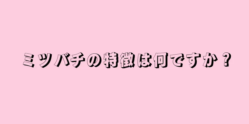 ミツバチの特徴は何ですか？