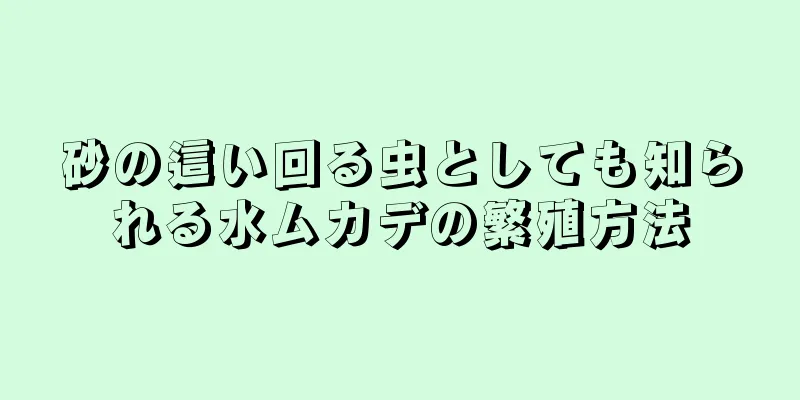 砂の這い回る虫としても知られる水ムカデの繁殖方法