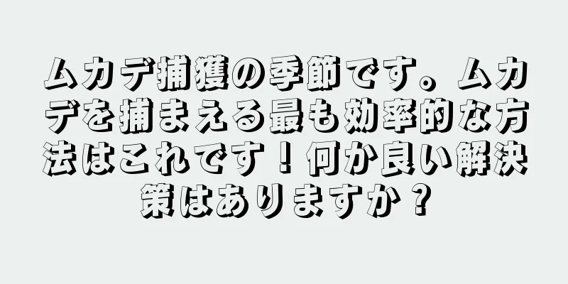 ムカデ捕獲の季節です。ムカデを捕まえる最も効率的な方法はこれです！何か良い解決策はありますか？
