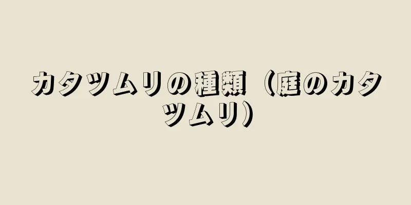 カタツムリの種類（庭のカタツムリ）