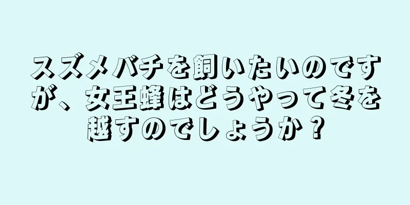 スズメバチを飼いたいのですが、女王蜂はどうやって冬を越すのでしょうか？