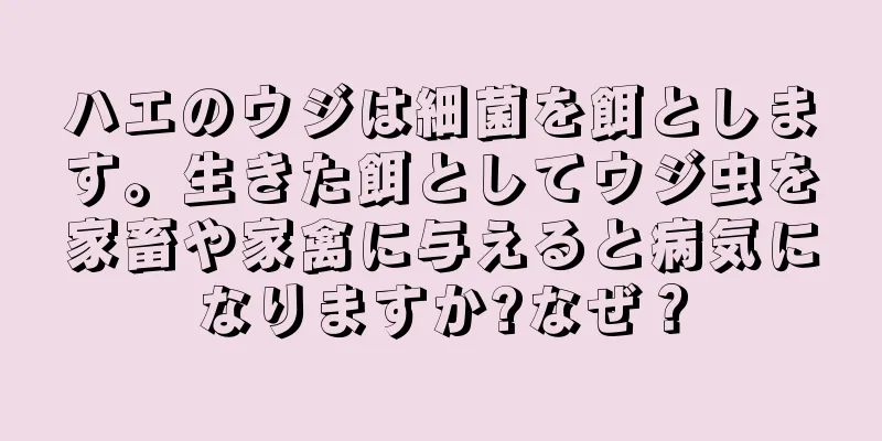 ハエのウジは細菌を餌とします。生きた餌としてウジ虫を家畜や家禽に与えると病気になりますか?なぜ？