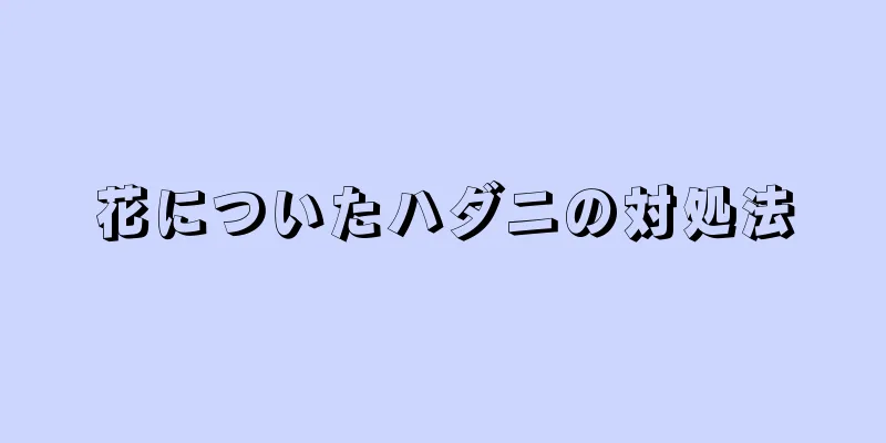 花についたハダニの対処法