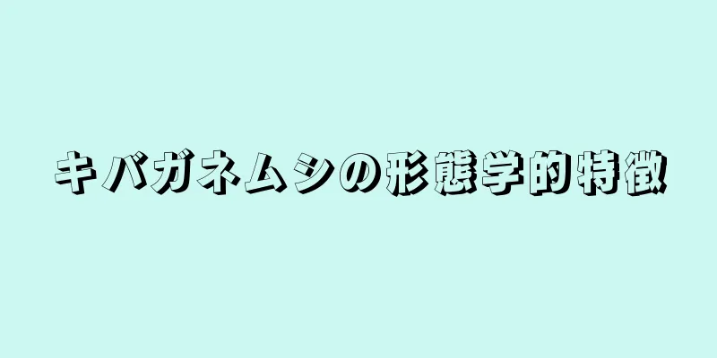 キバガネムシの形態学的特徴