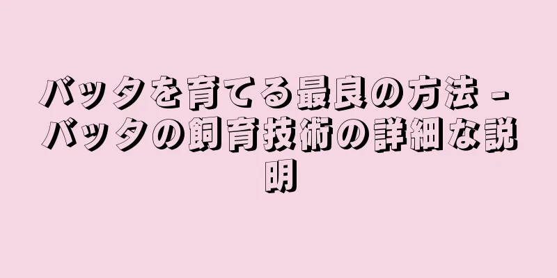バッタを育てる最良の方法 - バッタの飼育技術の詳細な説明