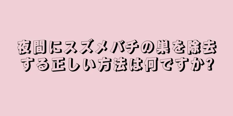 夜間にスズメバチの巣を除去する正しい方法は何ですか?