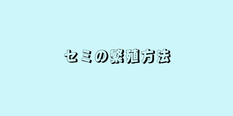 セミの繁殖方法