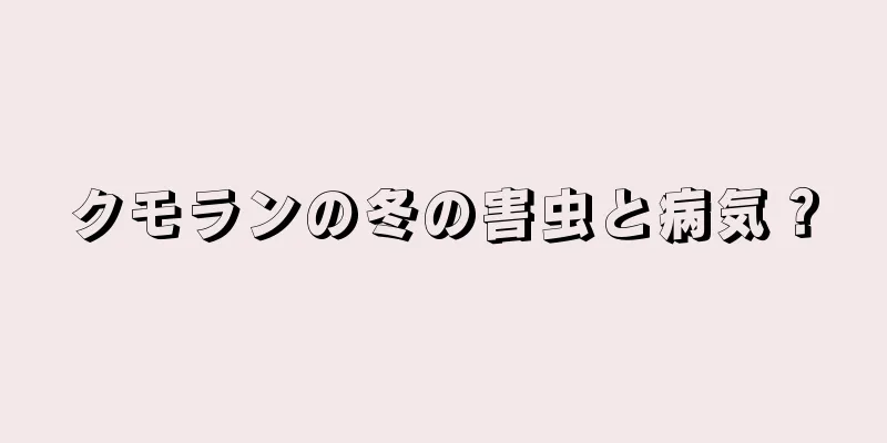 クモランの冬の害虫と病気？