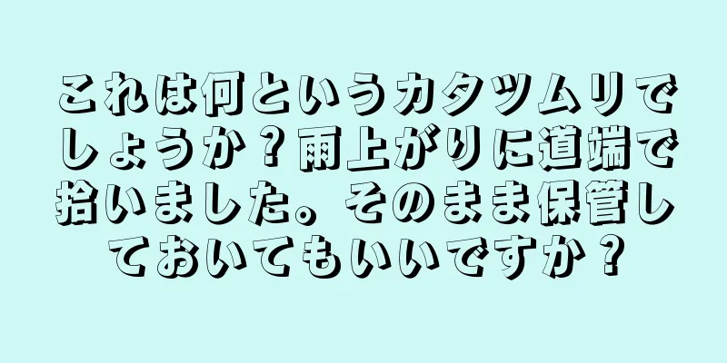 これは何というカタツムリでしょうか？雨上がりに道端で拾いました。そのまま保管しておいてもいいですか？