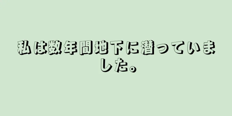私は数年間地下に潜っていました。