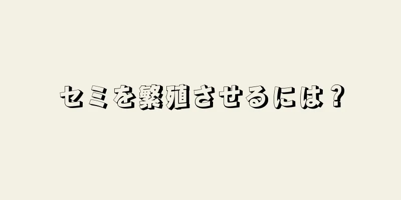 セミを繁殖させるには？