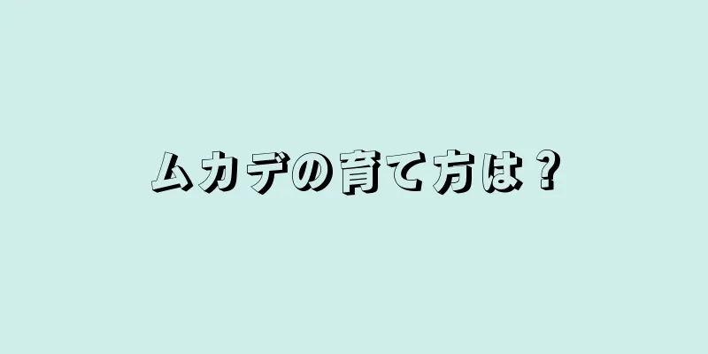 ムカデの育て方は？