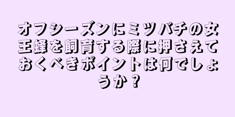 オフシーズンにミツバチの女王蜂を飼育する際に押さえておくべきポイントは何でしょうか？