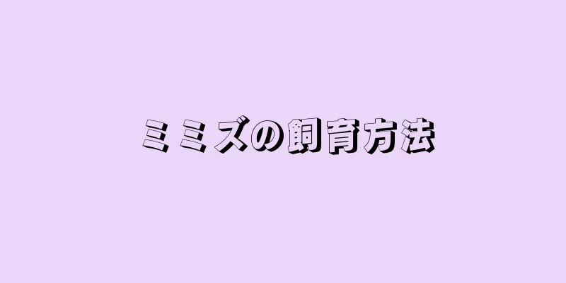 ミミズの飼育方法