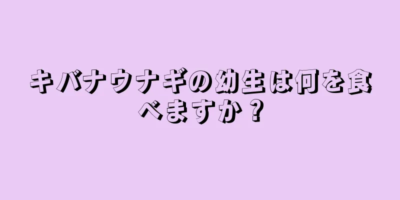キバナウナギの幼生は何を食べますか？