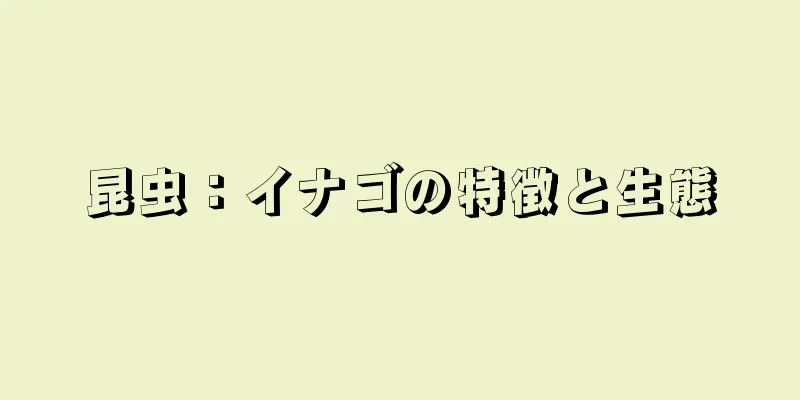 昆虫：イナゴの特徴と生態
