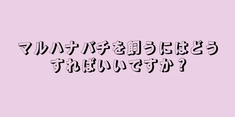 マルハナバチを飼うにはどうすればいいですか？