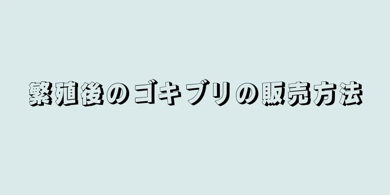 繁殖後のゴキブリの販売方法