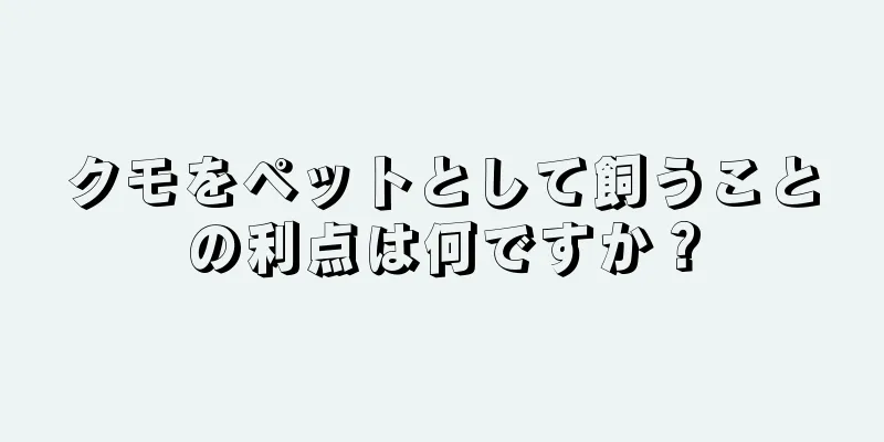 クモをペットとして飼うことの利点は何ですか？
