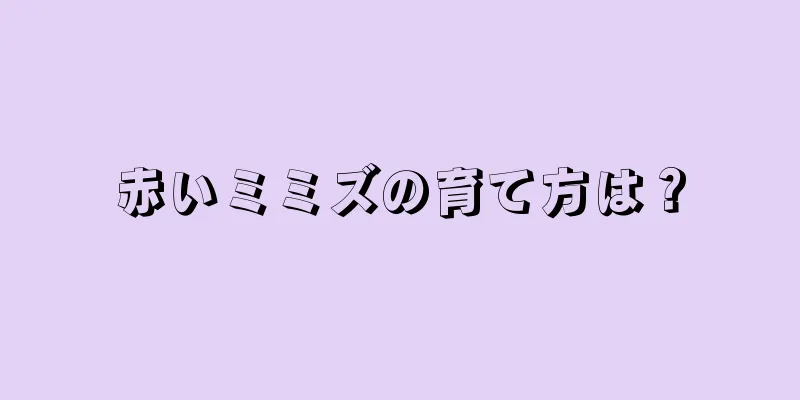 赤いミミズの育て方は？