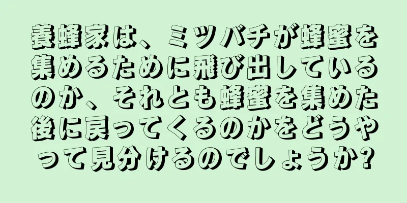 養蜂家は、ミツバチが蜂蜜を集めるために飛び出しているのか、それとも蜂蜜を集めた後に戻ってくるのかをどうやって見分けるのでしょうか?