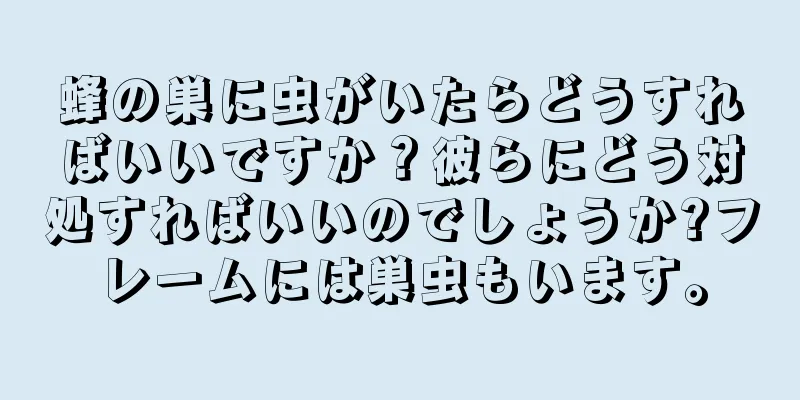 蜂の巣に虫がいたらどうすればいいですか？彼らにどう対処すればいいのでしょうか?フレームには巣虫もいます。