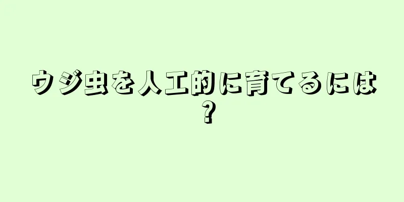 ウジ虫を人工的に育てるには？