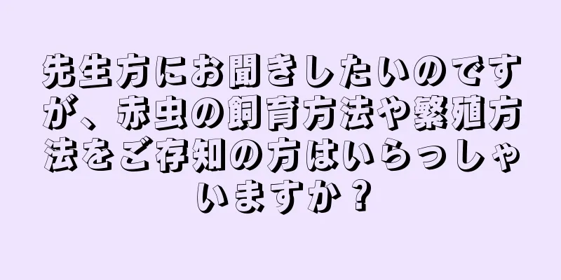 先生方にお聞きしたいのですが、赤虫の飼育方法や繁殖方法をご存知の方はいらっしゃいますか？