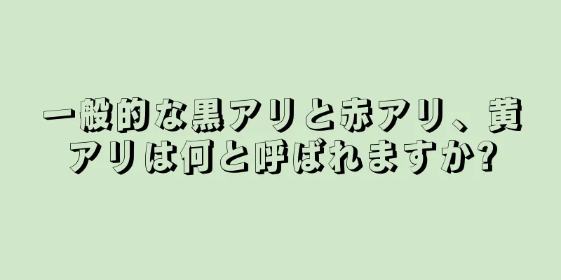 一般的な黒アリと赤アリ、黄アリは何と呼ばれますか?