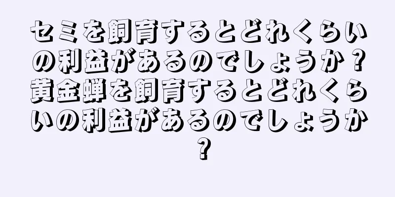 セミを飼育するとどれくらいの利益があるのでしょうか？黄金蝉を飼育するとどれくらいの利益があるのでしょうか？