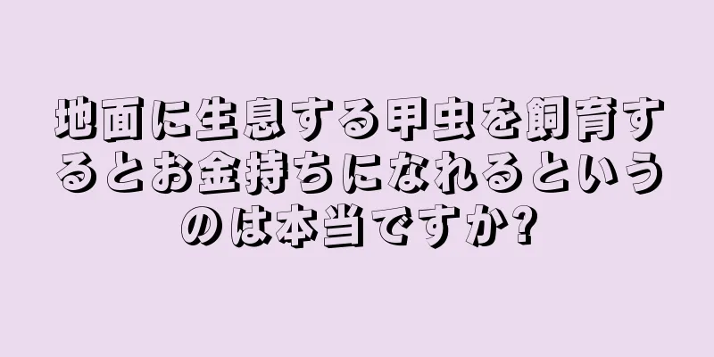 地面に生息する甲虫を飼育するとお金持ちになれるというのは本当ですか?