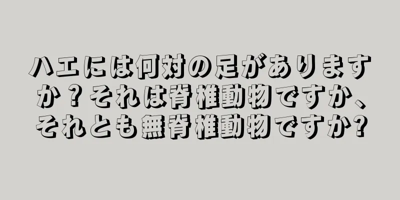 ハエには何対の足がありますか？それは脊椎動物ですか、それとも無脊椎動物ですか?