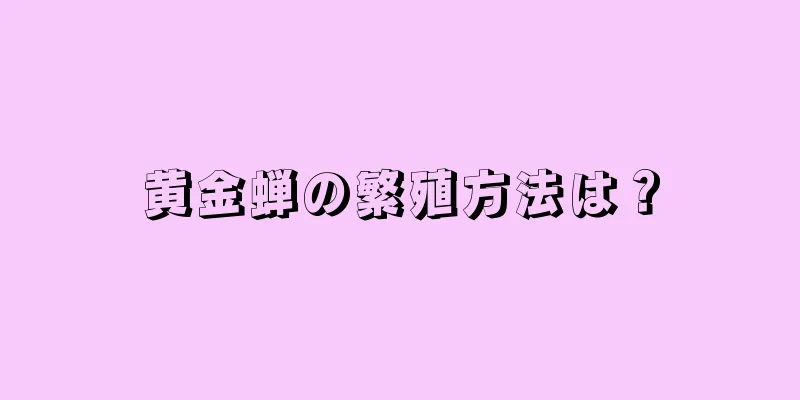 黄金蝉の繁殖方法は？