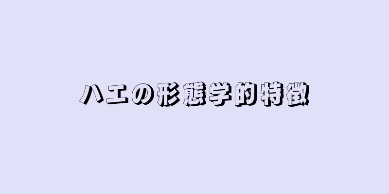 ハエの形態学的特徴