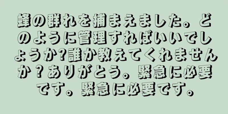 蜂の群れを捕まえました。どのように管理すればいいでしょうか?誰か教えてくれませんか？ありがとう。緊急に必要です。緊急に必要です。