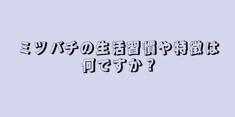 ミツバチの生活習慣や特徴は何ですか？