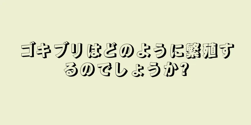 ゴキブリはどのように繁殖するのでしょうか?