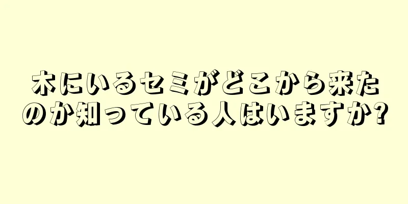木にいるセミがどこから来たのか知っている人はいますか?