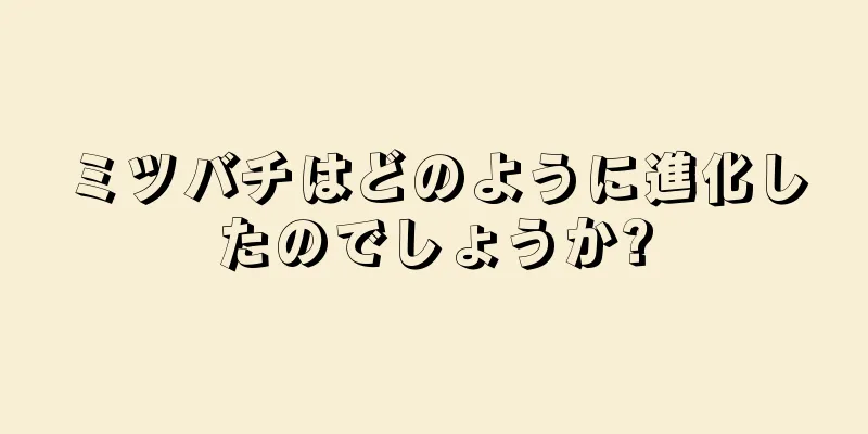 ミツバチはどのように進化したのでしょうか?