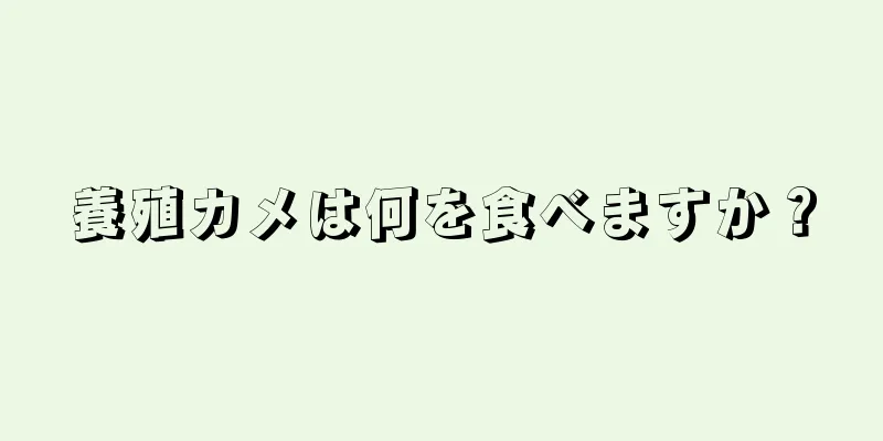 養殖カメは何を食べますか？