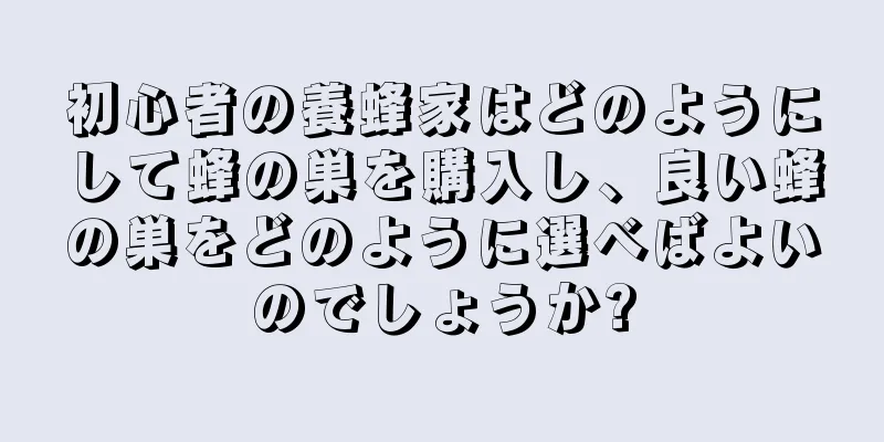 初心者の養蜂家はどのようにして蜂の巣を購入し、良い蜂の巣をどのように選べばよいのでしょうか?