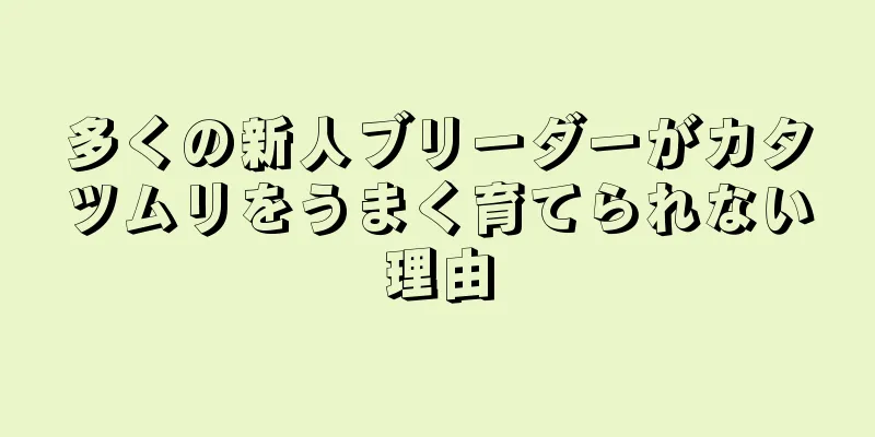 多くの新人ブリーダーがカタツムリをうまく育てられない理由