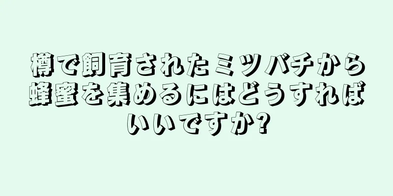 樽で飼育されたミツバチから蜂蜜を集めるにはどうすればいいですか?