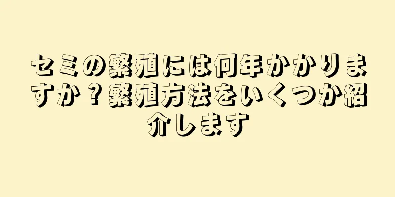 セミの繁殖には何年かかりますか？繁殖方法をいくつか紹介します